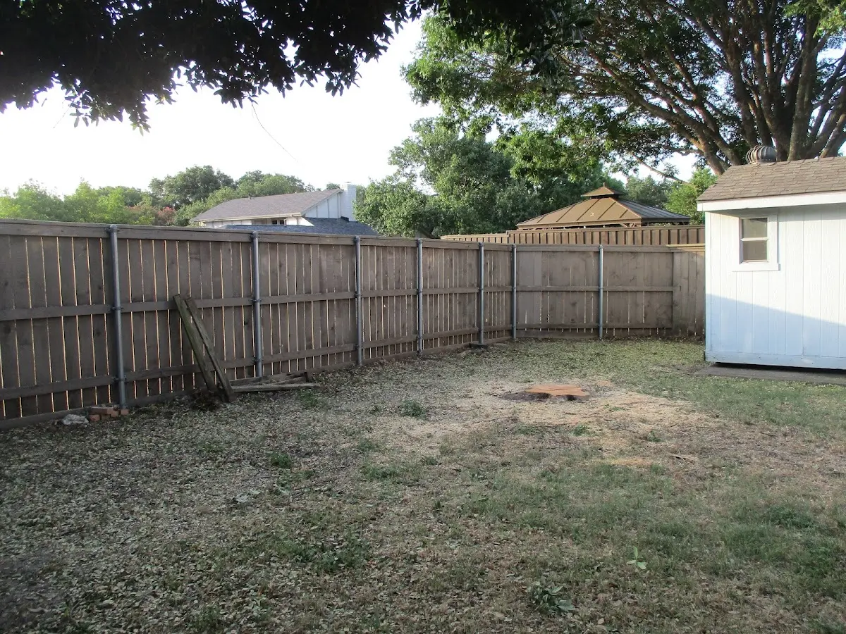 Cleared yard after professional tree removal in Roosevelt